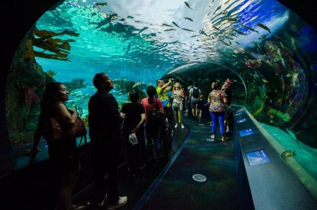 Ripley’S Aquarium