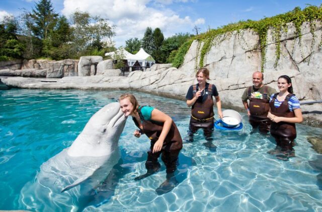 Mystic Aquarium