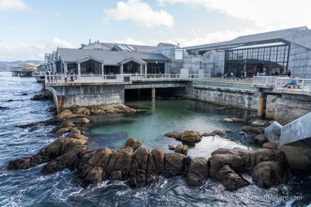 Monterey Aquarium