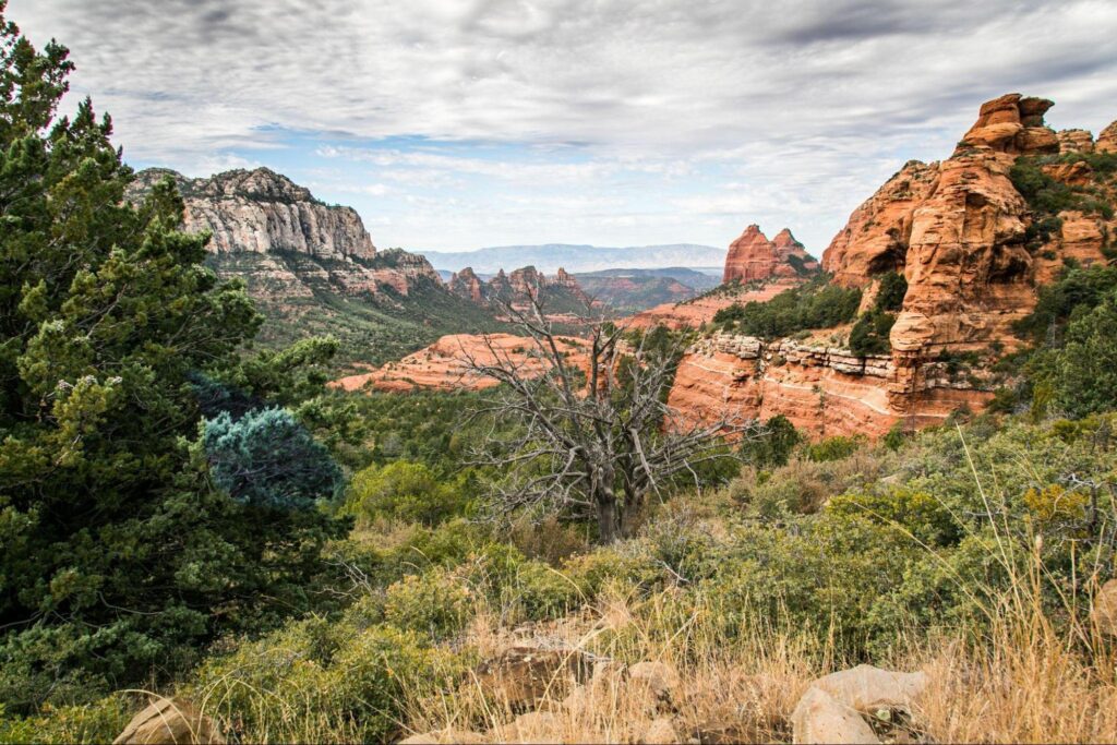 The Best National Parks Offering Free Admission for Military Families