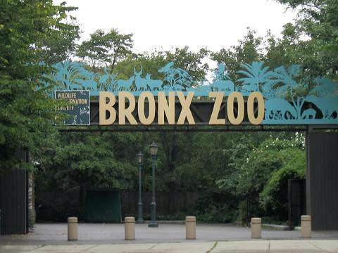 National Military Day at Bronx Zoo