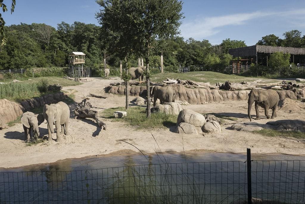 How To Get The Dallas Zoo Military Discount